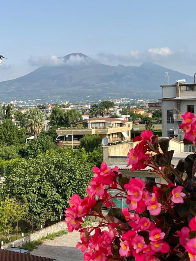 Pompei Terafi Home المظهر الخارجي الصورة