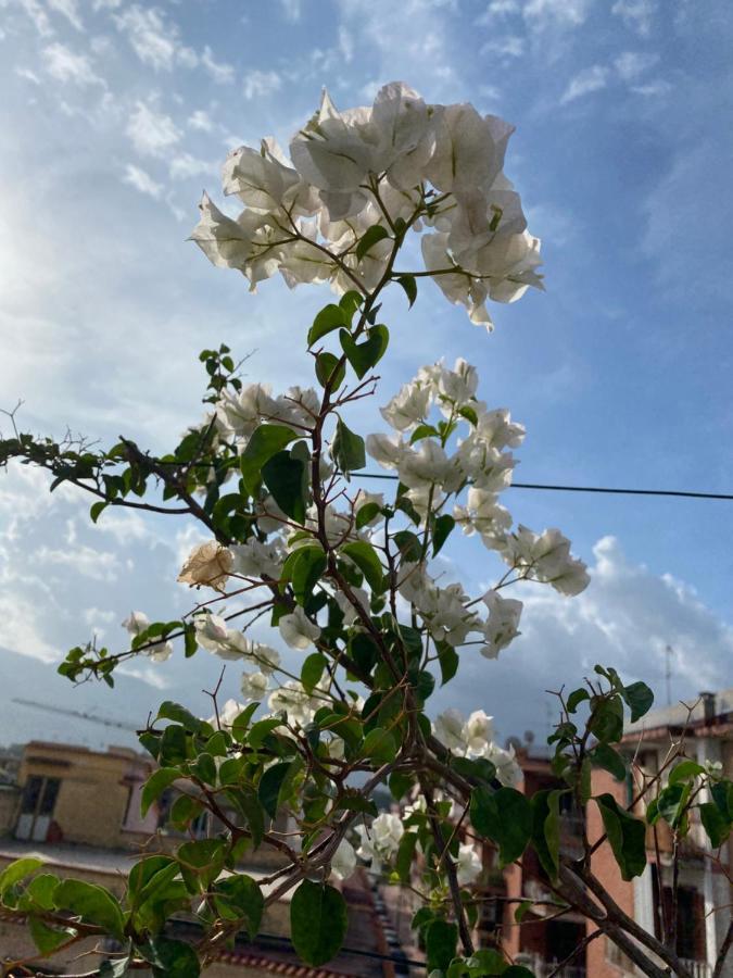 Pompei Terafi Home المظهر الخارجي الصورة